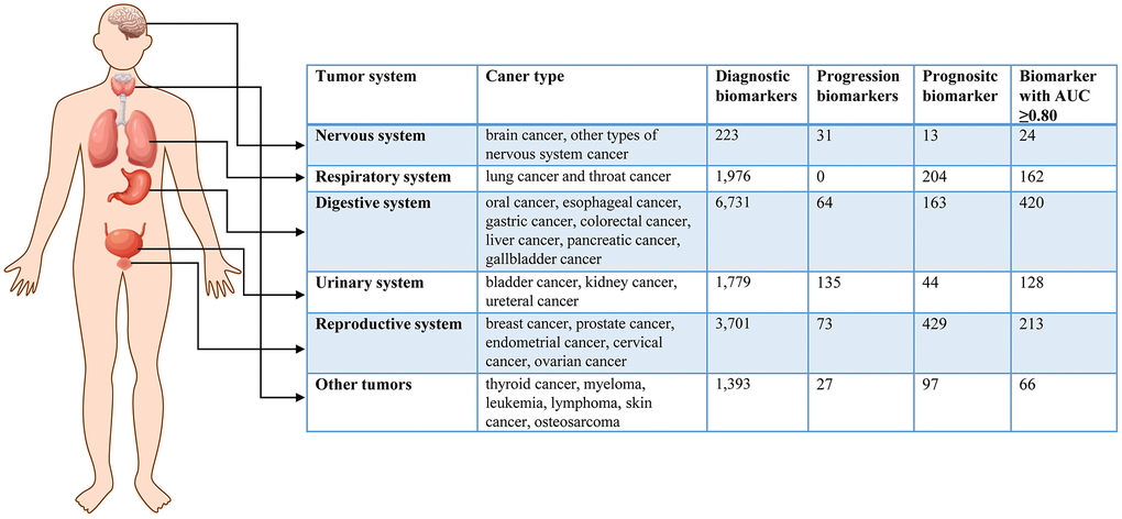 The basic information of metabolic biomarkers in different system cancers.