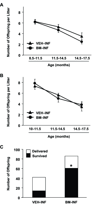 Repeated BM-INF do not affect fecundity but dramatically improve survival rates of offspring delivered by aging females