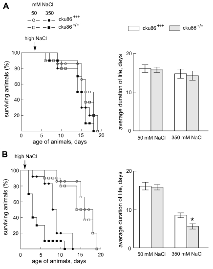 Absence of Ku86 reduces longevity of C. elegans in high NaCl, provided the exposure to high NaCl begins in the larval stage