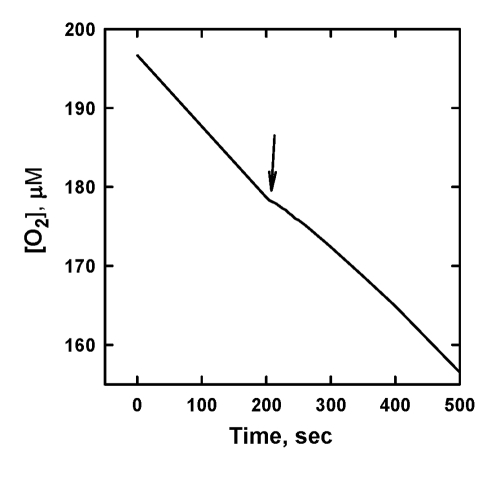  The effect of addition of 10 μM SkQ1 on the kinetics of oxygen consumption during the oxidation of 20 mM ML in 50 mM micellar solution of 50 mM Triton X-100 in 50mM phosphate buffer, pH 7.40, 37 °C, initiated by 3 mM AAPH. Arrow shows the moment when SkQ1 was added. 
