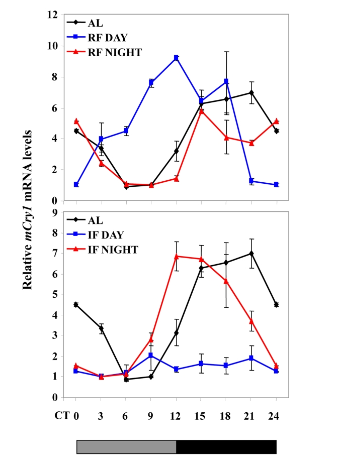 Effect of night vs. day RF and night vs. day IF on clock gene expression
