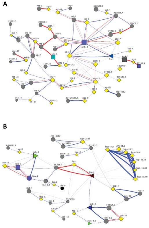 Network analysis revealed a close interconnection between the two enriched clusters in nth-1.