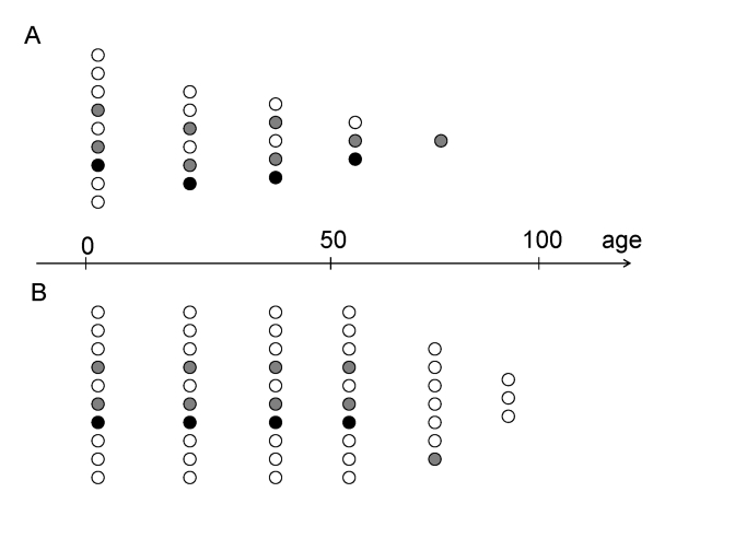 Preferential survival fast- versus slow-aging individuals