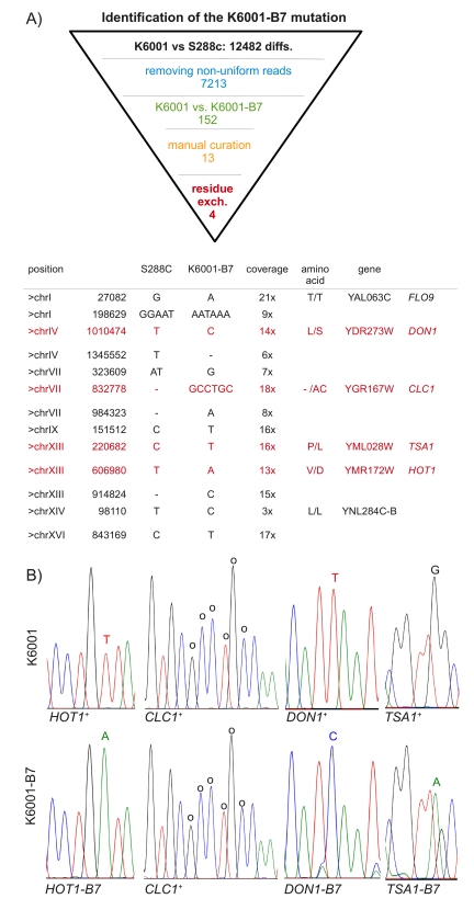 Identification of K6001-B7 by subtractive whole-genome resequencing