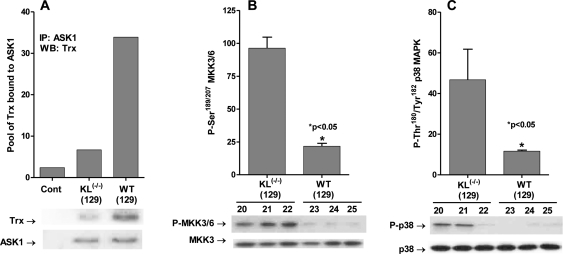 Klotho ablation activates the ASK1-signalosome - p38 MAPK pathway