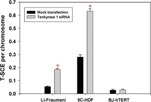 T-SCE frequencies are significantly elevated upon depletion of tankyrase 1 in telomerase negative backgrounds