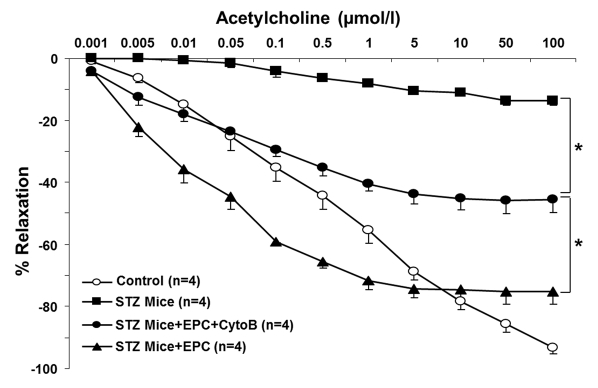 Acetylcholine-induced relaxation of aortic rings obtained from control and STZ mice, non-treated and treated with intact EPC or with EPC preincubated with cytochalasin B (CytoB)