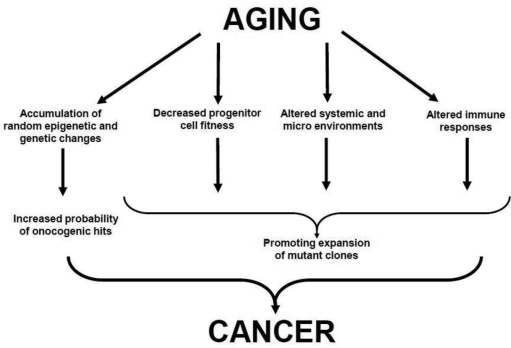Proposed Links between Aging and Cancer