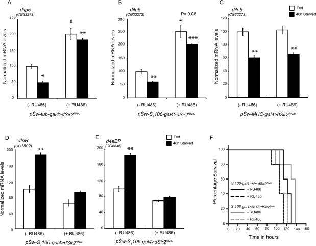 Fatbody dSir2 regulates dilp5 meditated Insulin Signaling