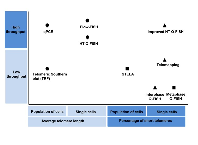 Classification of the main telomere length measurement methods according their throughput and the telomere length associated variable measured by them