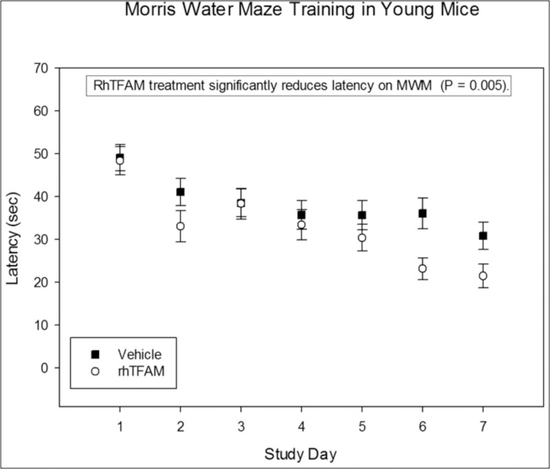 RhTFAM treatment improves learning in young mice. Effects of rhTFAM and vehicle on latency to platform during the seven days of Morris Water Maze training in young (2-3 month old) mice. RhTFAM treatment significantly improved latency to platform (p