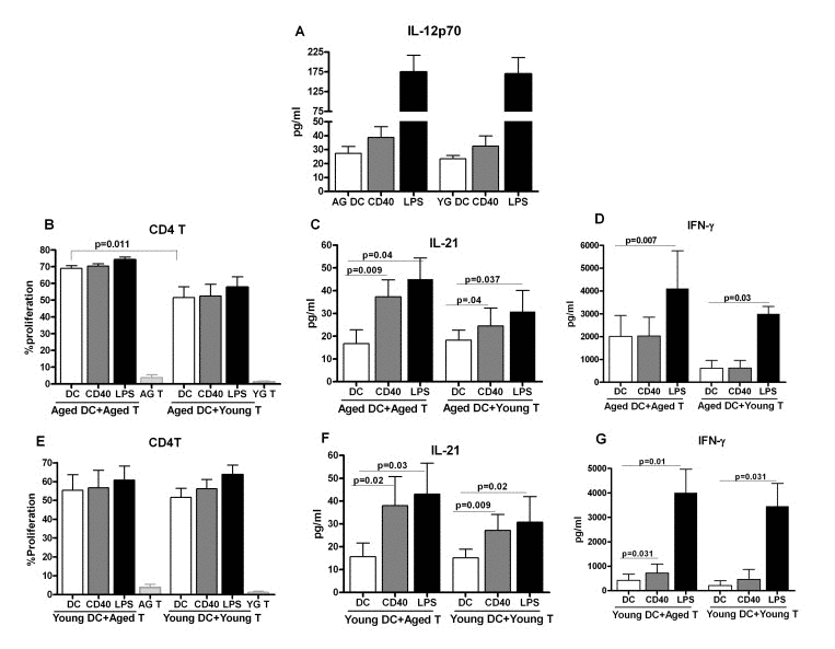 Increased IL-21 secretion from aged subjects is not due to age-associated alteration in dendritic cell function