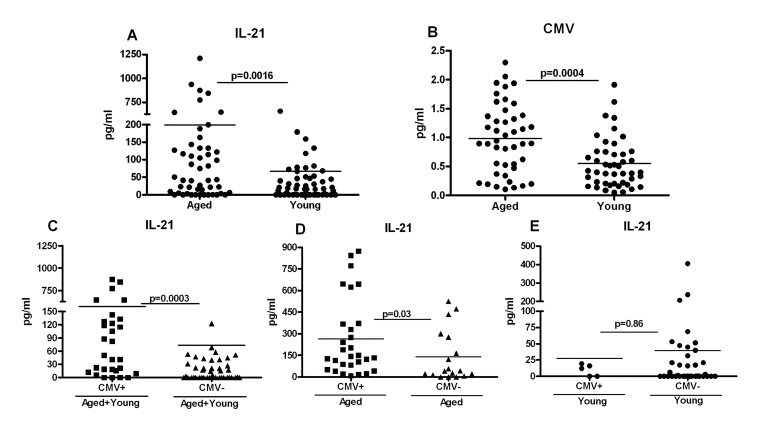 Increased IL-21 secretion in aged subjects correlates with Cytomegalovirus (CMV) seropositivity