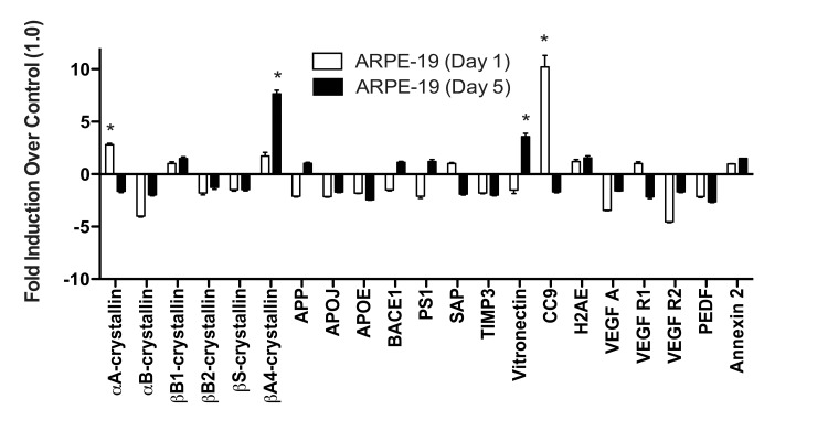 ARPE-19 cells do not upregulate most drusen-related transcripts after acute or chronic stress