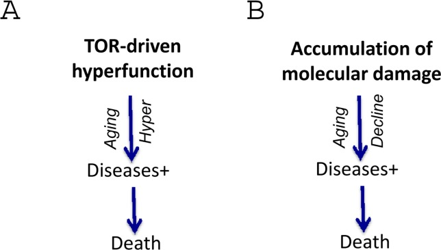 Harmonizing two theories for direct comparison