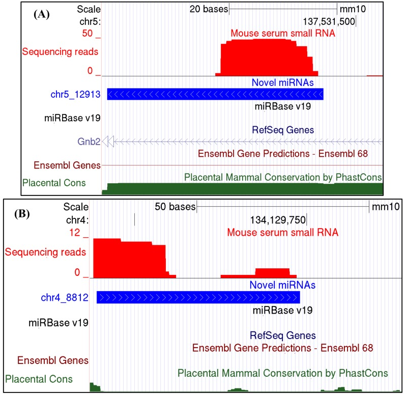Examples of novel circulating miRNAs discovered with mouse serum small RNA sequencing