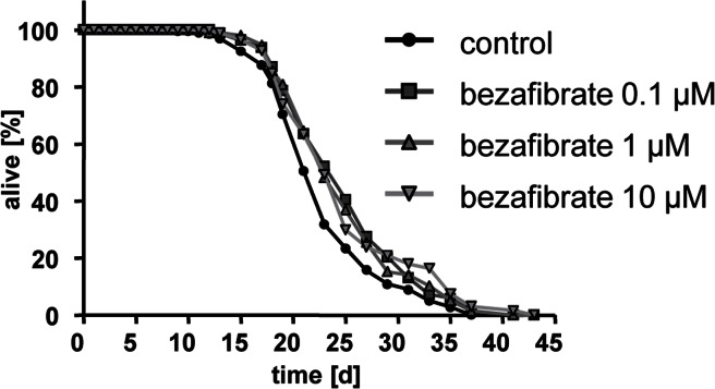 Bezafibrate extends lifespan of adult C. elegans