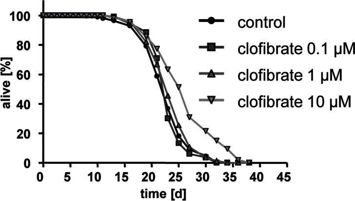 Clofibrate extends lifespan of adult C. elegans