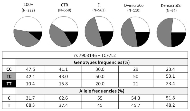 TCF7L2 rs7903146 genotypic and allelic frequencies among the different groups analyzed