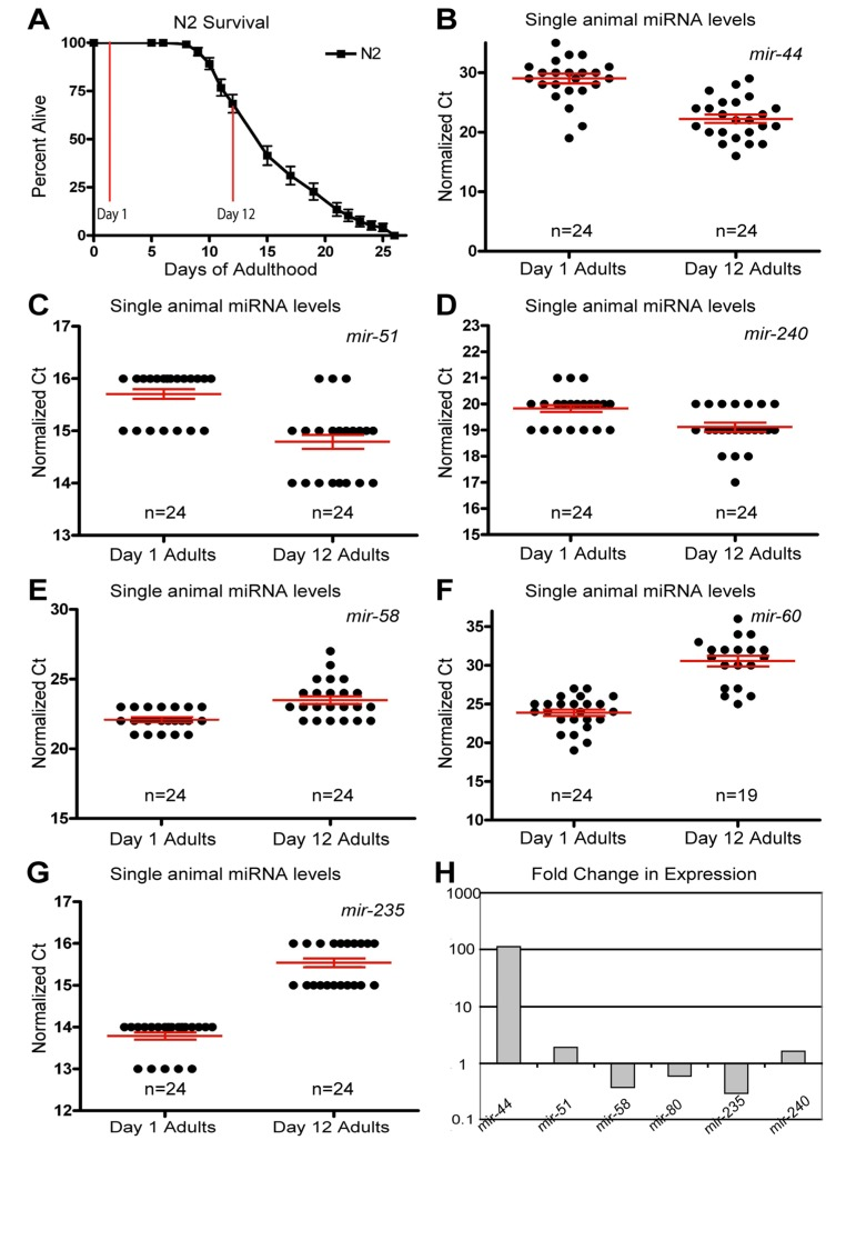 Dynamic changes of miRNAs with age