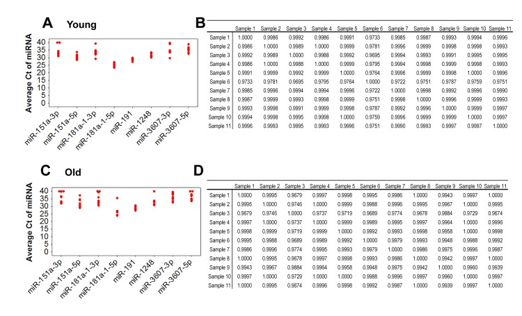Comparison of expression variance of 8 miRNAs in 11 young and 11 old individuals by real-time RT-PCR