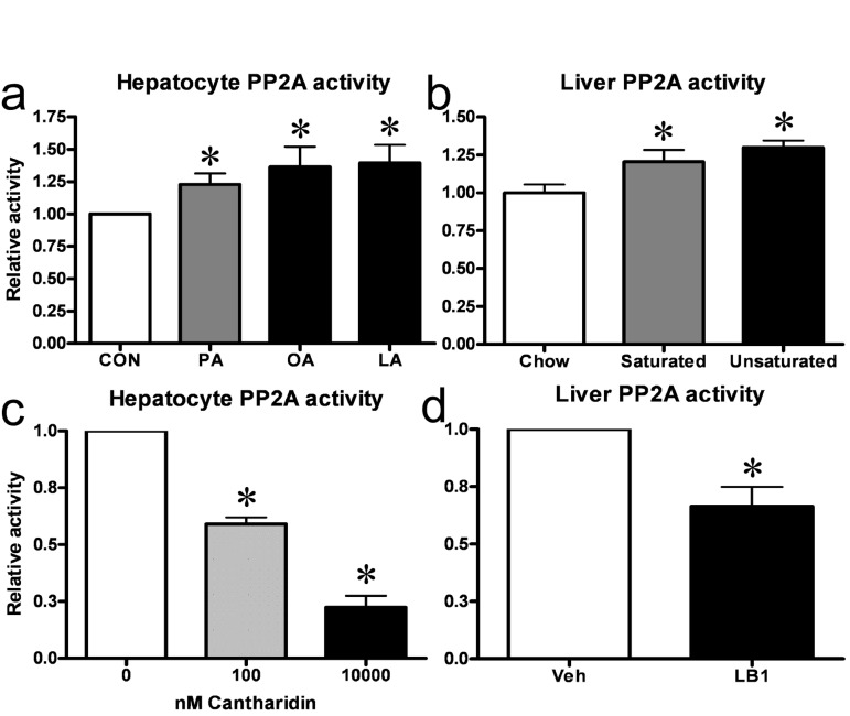 Fat increases hepatic PP2A in vitro and in vivo and small molecule inhibitors can be used to impair hepatic PP2A activity. Treatment of primary hepatocytes with either of palmitate (PA), oleate (OA) or linoleate (LA) resulted in an increase in PP2A activity (a). Similarly, three day fat-feeding with a diet based on either saturated or unsaturated fats led to an increase in hepatic PP2A activity in rats (b). 30 mins of cantharidin treatment resulted in a dose-dependent inhibition of PP2A-activity in primary rat hepatocytes (c) while 3 hrs of LB1-treatment led to inhibition of PP2A in rat livers (d). Relative activity is relative to no treatment. Data are averages of PP2A activity assays ±SEM. * P