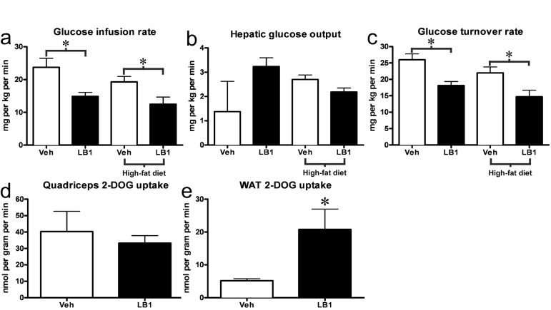 PP2A inhibition acutely exacerbates insulin resistance in chow- and fat-fed rats. LB1-treated rats required a reduced glucose infusion rate to maintain euglycemia during the hyperinsulinemic-euglycemic clamp (a). This was not associated with changes in hepatic glucose output (b), but was the result of an impaired glucose turnover rate (c). Muscle insulin sensitivity was not altered as assessed by 2-deoxyglucose uptake (2-DOG) (d), however LB1-treatment was associated with an increase in insulin-stimulated glucose uptake in white adipose tissue (e). Data are averages ±SEM. * P