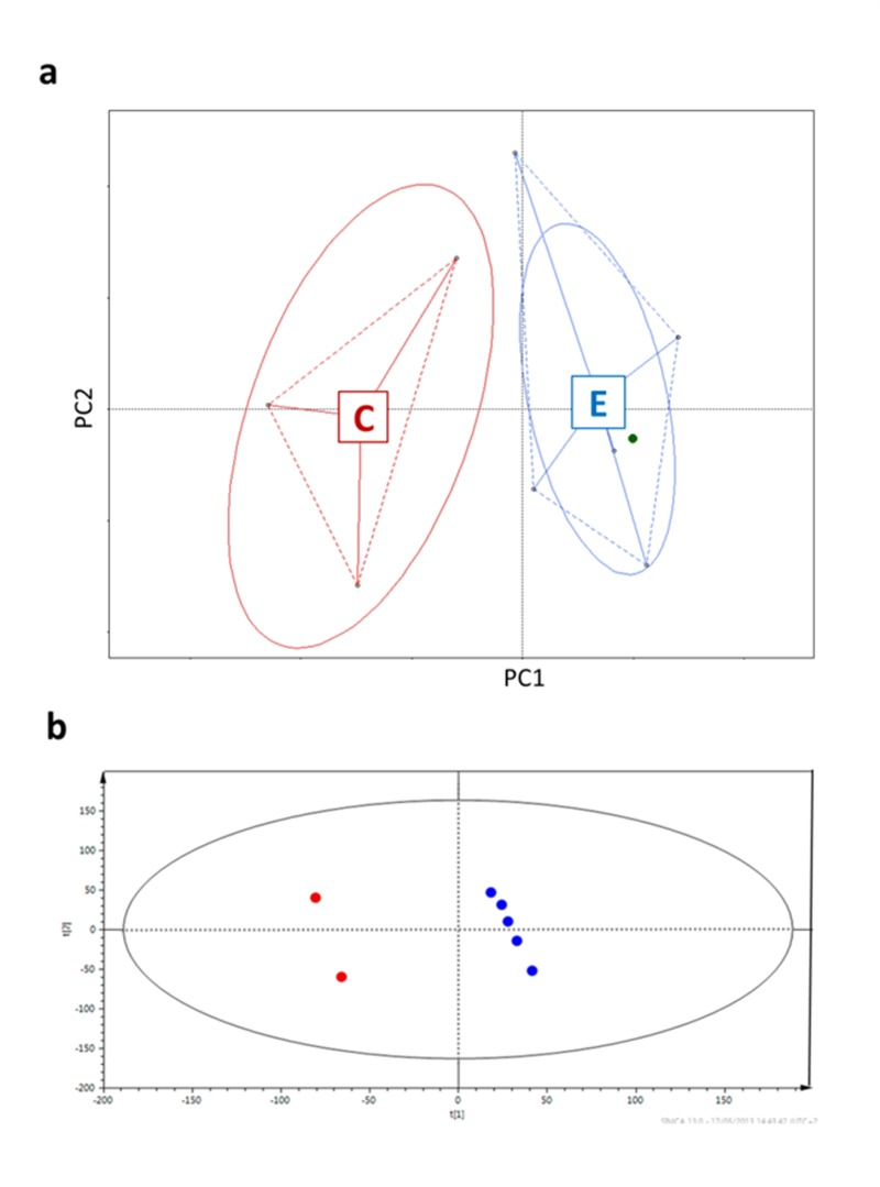 Centenarians and elderly differ in both microbiota composition (a) and urine metabotypes (b)