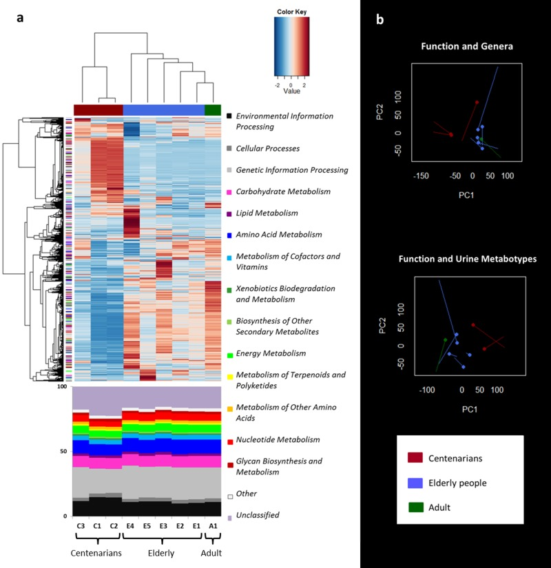 Metagenome function analysis separates centenarians from the other subjects in agreement with genus and urine metabolite clustering