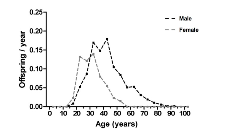 Polygyny and sexual dimorphism in reproductive output