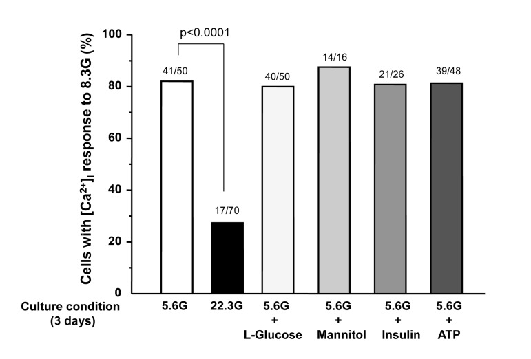 Percentage of β-cells that respond to 8.3 mM glucose after culture for 3 days in described conditions. Numbers on top of the bar indicate the number of cells that responded with [Ca2+]i increases over that examined.