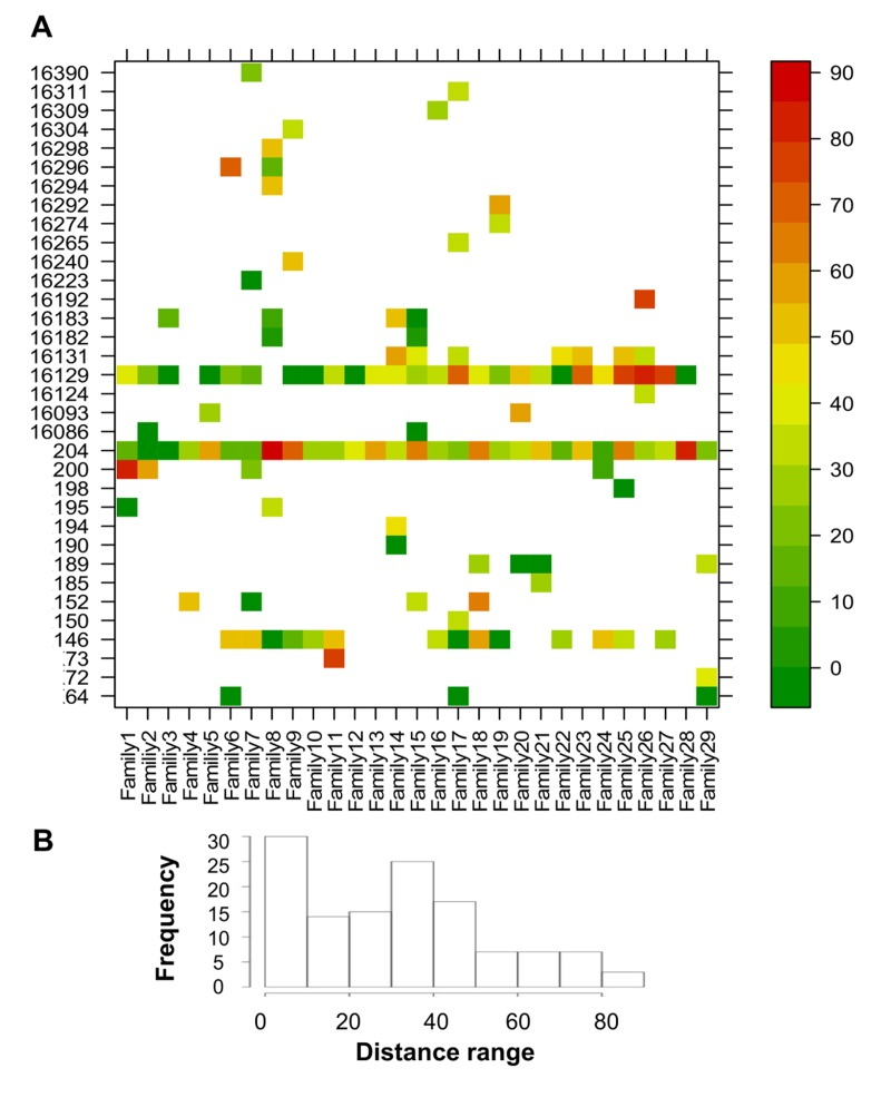 CENT and CO distances of positions that showed heteroplasmy in both individuals