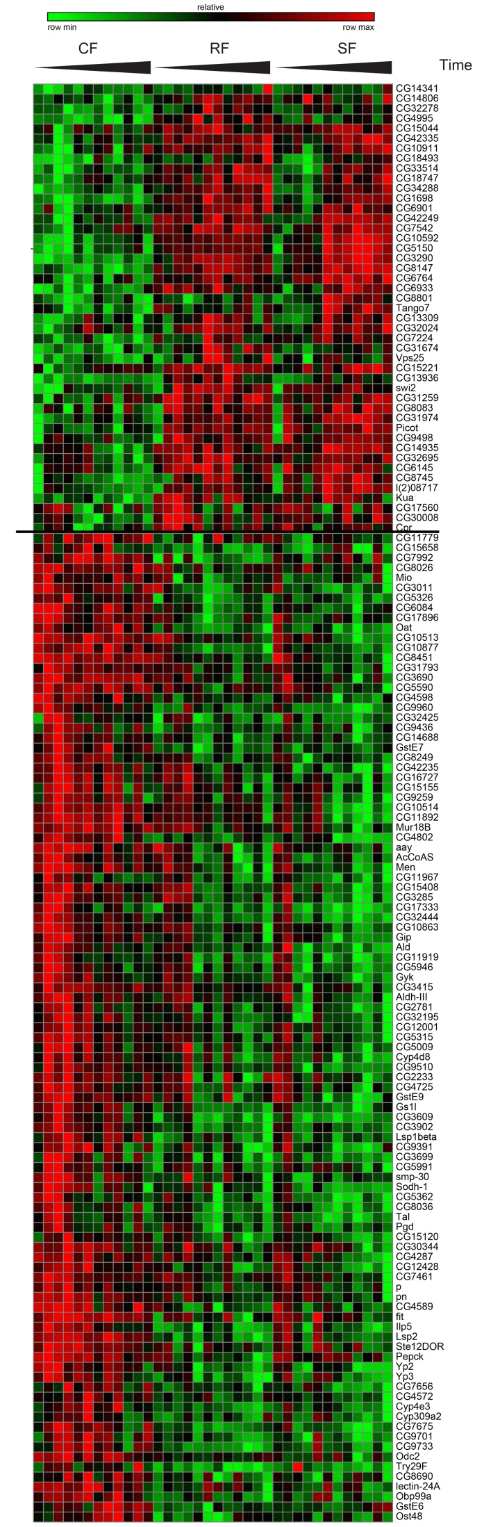 Gene expression of switching genes