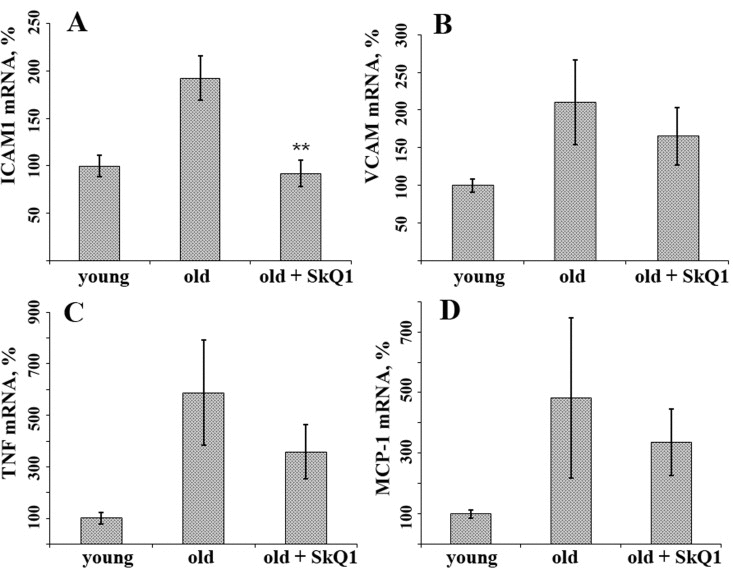 SkQ1 suppresses age-related increase in mRNA expression of some inflammatory markers in aortas of old mice