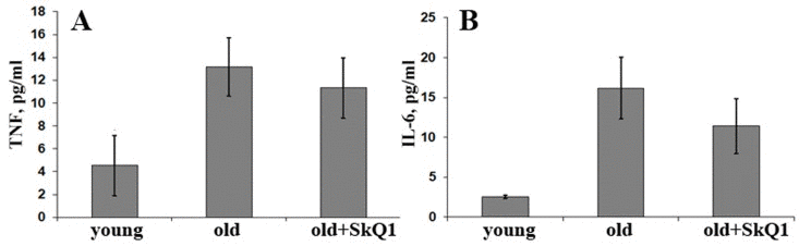 Long-term SkQ1 treatment (250 nmol/kg per day, 8 months) does not affect circulatory levels of proinflammatory cytokines in old (24 months) versus young (6 months) mice