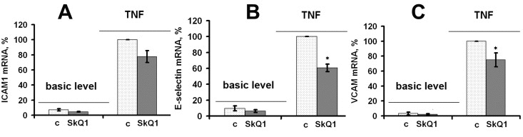 SkQ1 suppresses TNF-induced (4 h, 50 pg/ml) mRNA expression of cell adhesion molecules in HUVEC; c, control