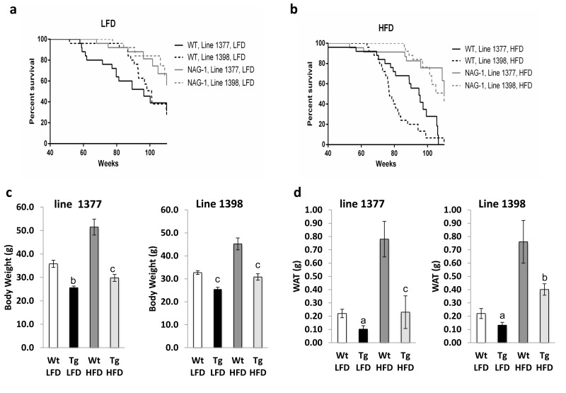 Increased lifespan of female hNAG-1 transgenic mice