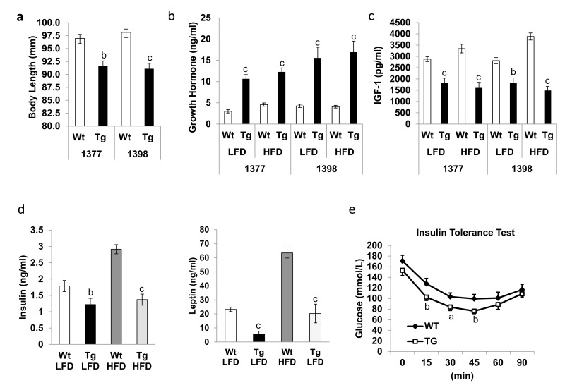 hNAG-1 transgenic mice have improved insulin sensitivity