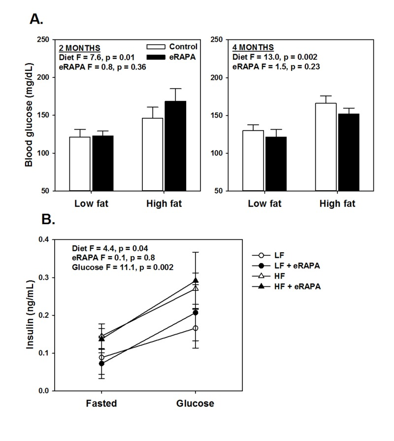 (A) Fasting blood glucose levels after feeding indicated diets for 2 and 4 months. (B) Fasting and glucose stimulated insulin levels in whole blood. For all, symbols represent average (± SEM) values for n=6 mice treated with (solid) or without (open) encapsulated rapamycin (eRAPA) for the indicated diet. F and p values are given for either 2 way (A) or 3 way (B) ANOVA testing indicated variables.