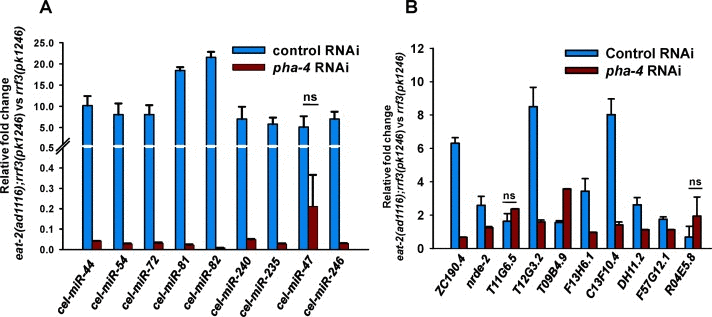 The miRNAs and mRNAs upregulated during DR are potential direct targets of PHA-4. (A) QRT-PCR analysis shows the expression levels of the miRNAs in eat-2(ad1116);rrf-3(pk1246) compared to rrf-3(pk1246), when grown on control or pha-4 RNAi. (B) QRT-PCR analysis showing the expression levels of predicted PHA-4 direct target genes in eat-2(ad1116);rrf-3(pk1246) compared to rrf-3(pk1246), grown either on control and pha-4 RNAi. The error bars represent Standard Deviation between independent biological samples. ‘ns’ represents p ≥ 0.05 by t-test.