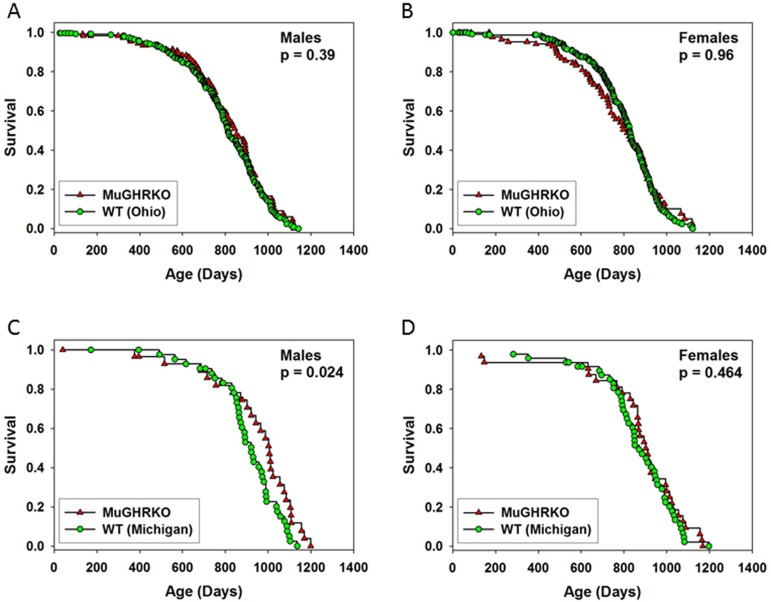 Effects of muscle-specific disruption of GHR on longevity
