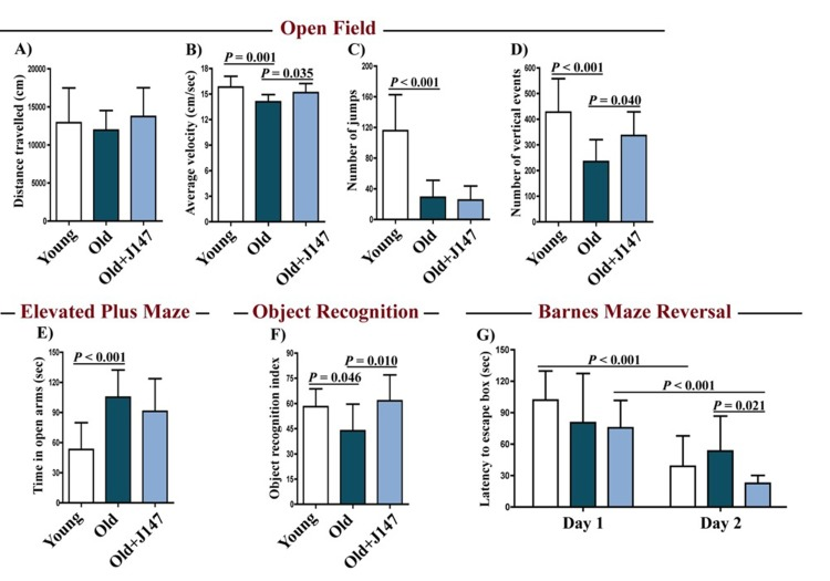 J147 improves locomotor and cognitive function in old SAMP8 mice