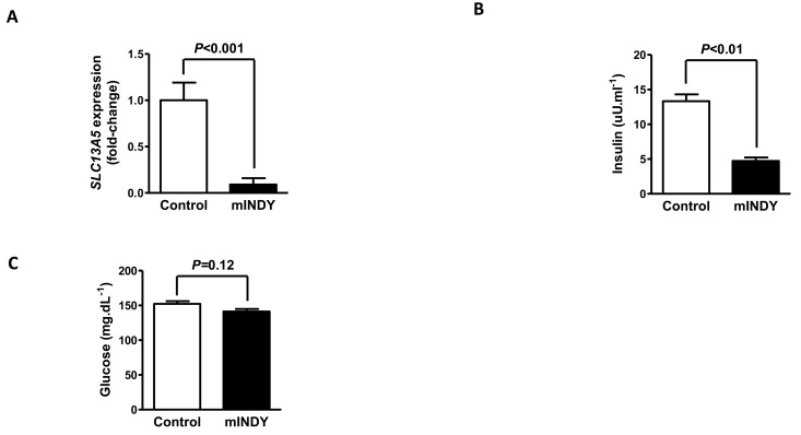 (A) After 4 weeks of 2′-O-methoxyethyl chimeric ASO treatment, mIndy mRNA expression was reduced by 91%. (B) Fasting plasma insulin concentrations were markedly reduced in the mIndy ASO treated rats. (C) Fasting glucose concentrations in the mIndy ASO and control ASO treated groups. All data are mean ± SEM, N=10 for each group; significances by double sided t-test.