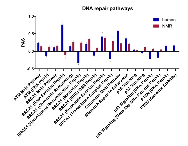 Pathway activation strength (PAS) for DNA repair signaling pathways