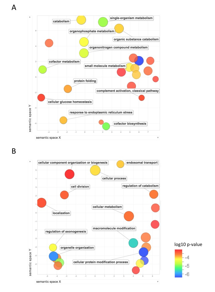 Functional annotation of protein-coding genes more highly expressed in short-lived species