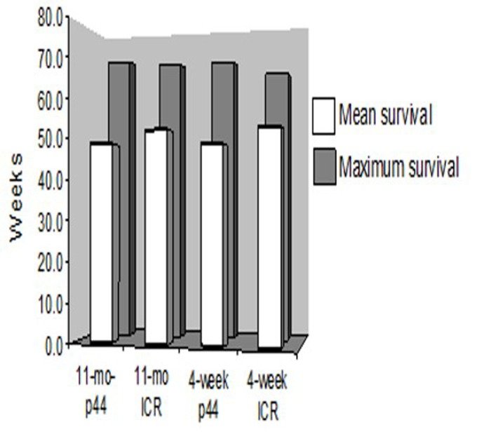 Mean and maximal life spans of ICR recipients