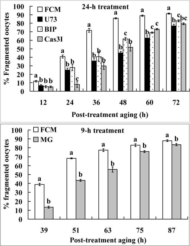 Fragmentation of aging oocytes. Newly-ovulated oocytes were either treated for 24 h in FCM alone or in FCM containing 10-μM U73122 (U73), 1.2-μM B-IP3RCYT (BIP) or 50-μM Caspase-3 inhibitor VII (Cas3I) (the 24-h treatment), or treated for 9 h with FCM alone or FCM containing 5-μM MG132 (the 9-h treatment), before post-treatment aging in CZB medium. At different times of the post-treatment aging, oocytes were observed for fragmentation. Each treatment was repeated 4 times with each replicate containing about 30 oocytes. a–c: Values without a common letter above their bars differ significantly (P
