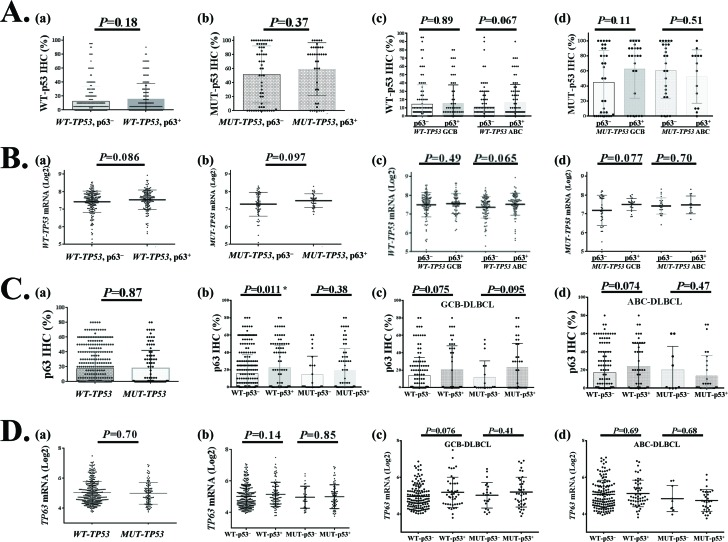 Relationship between TP63/p63 and TP53/p53 expression in DLBCL