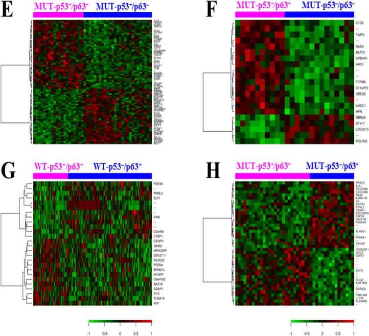 P63 Expression Confers Significantly Better Survival Outcomes In High ...