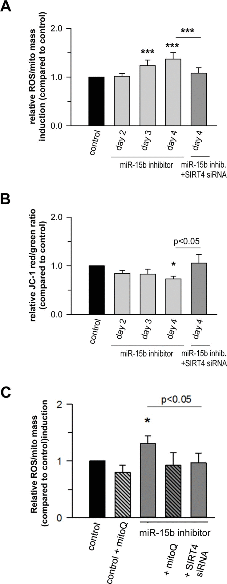 Mir-15b regulates mitochondrial ROS generation and the mitochondrial membrane potential in a SIRT4-dependent manner in primary human dermal fibroblasts
